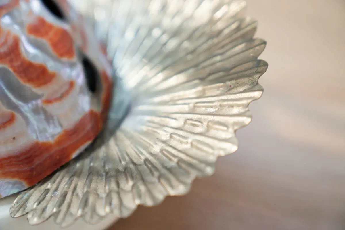 Stravagante Lampada da tavolo, Cigno, realizzata in acciaio ed in rare conchiglie Nautilus, da Antonio Pavia 1970 - immagine 6